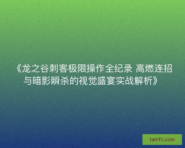 《龙之谷刺客极限操作全纪录 高燃连招与暗影瞬杀的视觉盛宴实战解析》