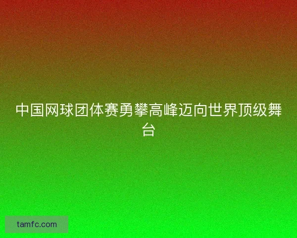 中国网球团体赛勇攀高峰迈向世界顶级舞台