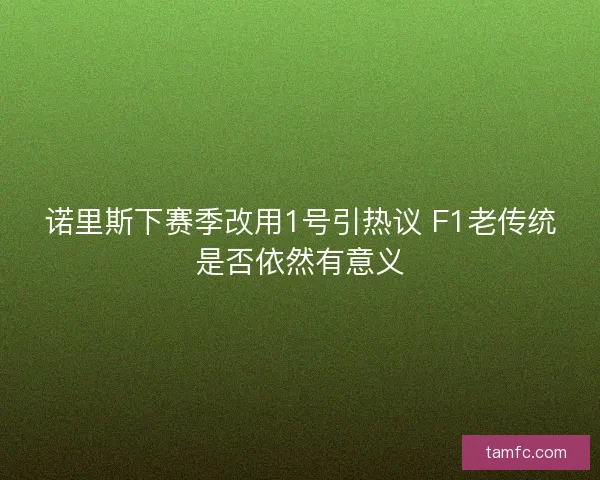 诺里斯下赛季改用1号引热议 F1老传统是否依然有意义 诺里斯下赛季改用1号引热议 F1老传统是否依然有意义