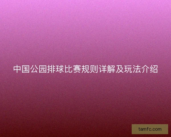 中国公园排球比赛规则详解及玩法介绍