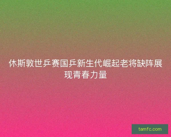 休斯敦世乒赛国乒新生代崛起老将缺阵展现青春力量